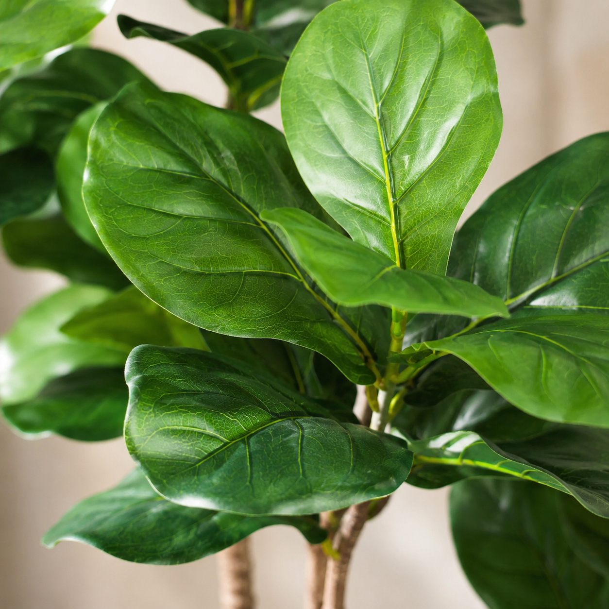 Artificial Fiddle Leaf Decor Tree