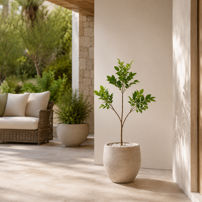 Artificial Ficus Decor Tree for Home & Balcony